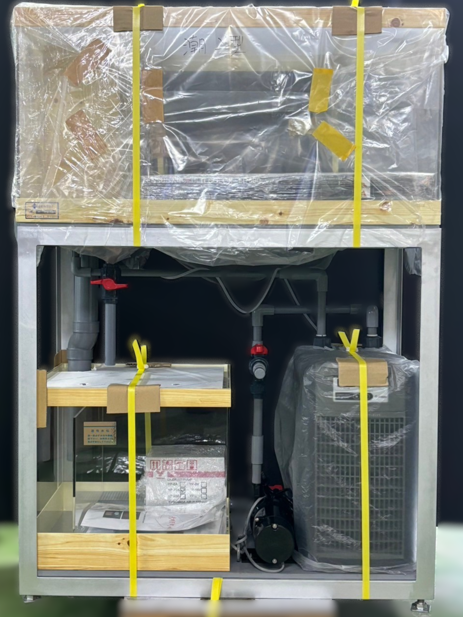 潮2型　新規導入　活魚水槽